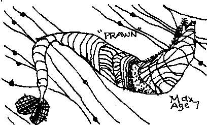 child's drawing by Max at age seven